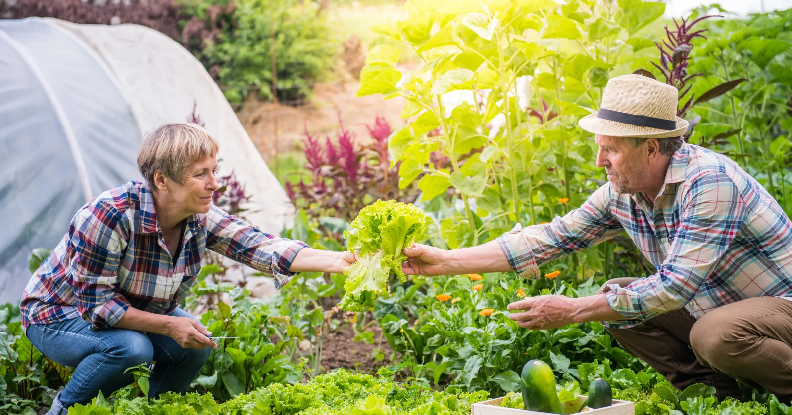 Senior actif jardinant en extérieur